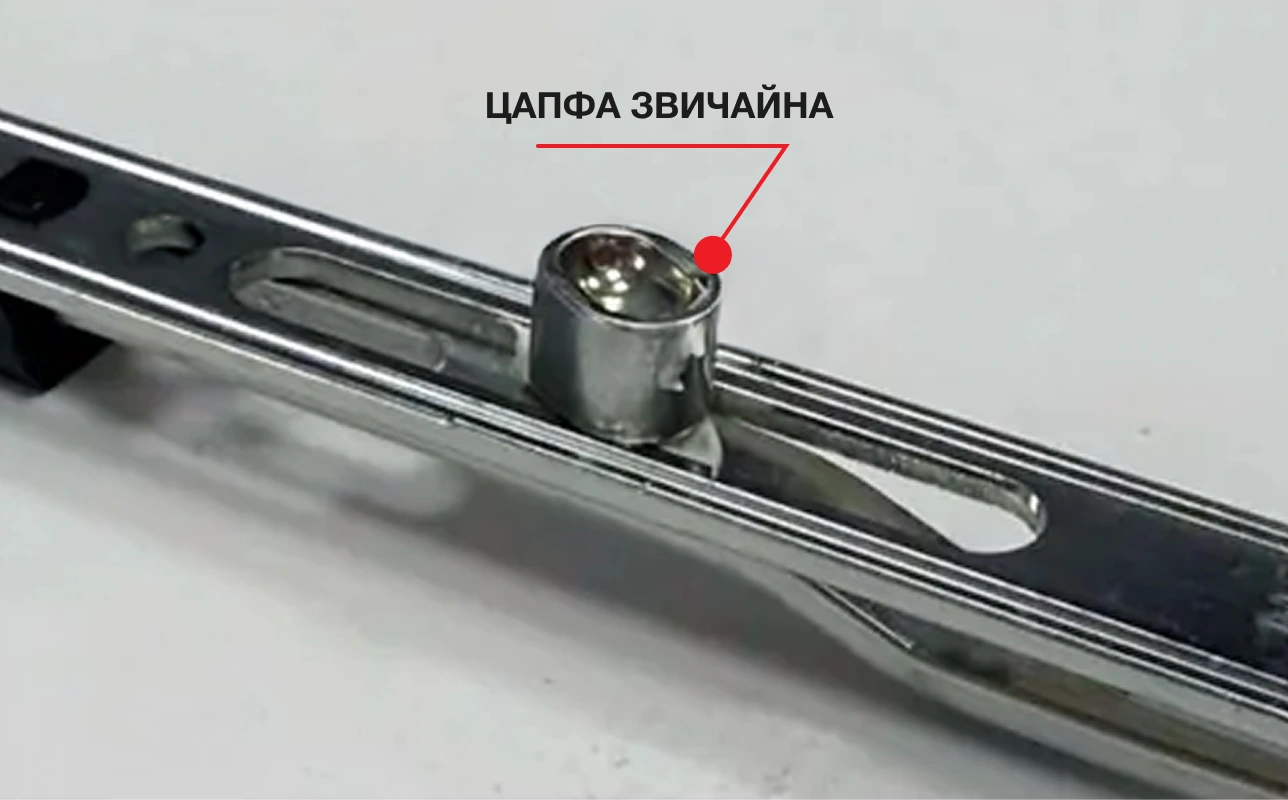 Цапфа звичайна
